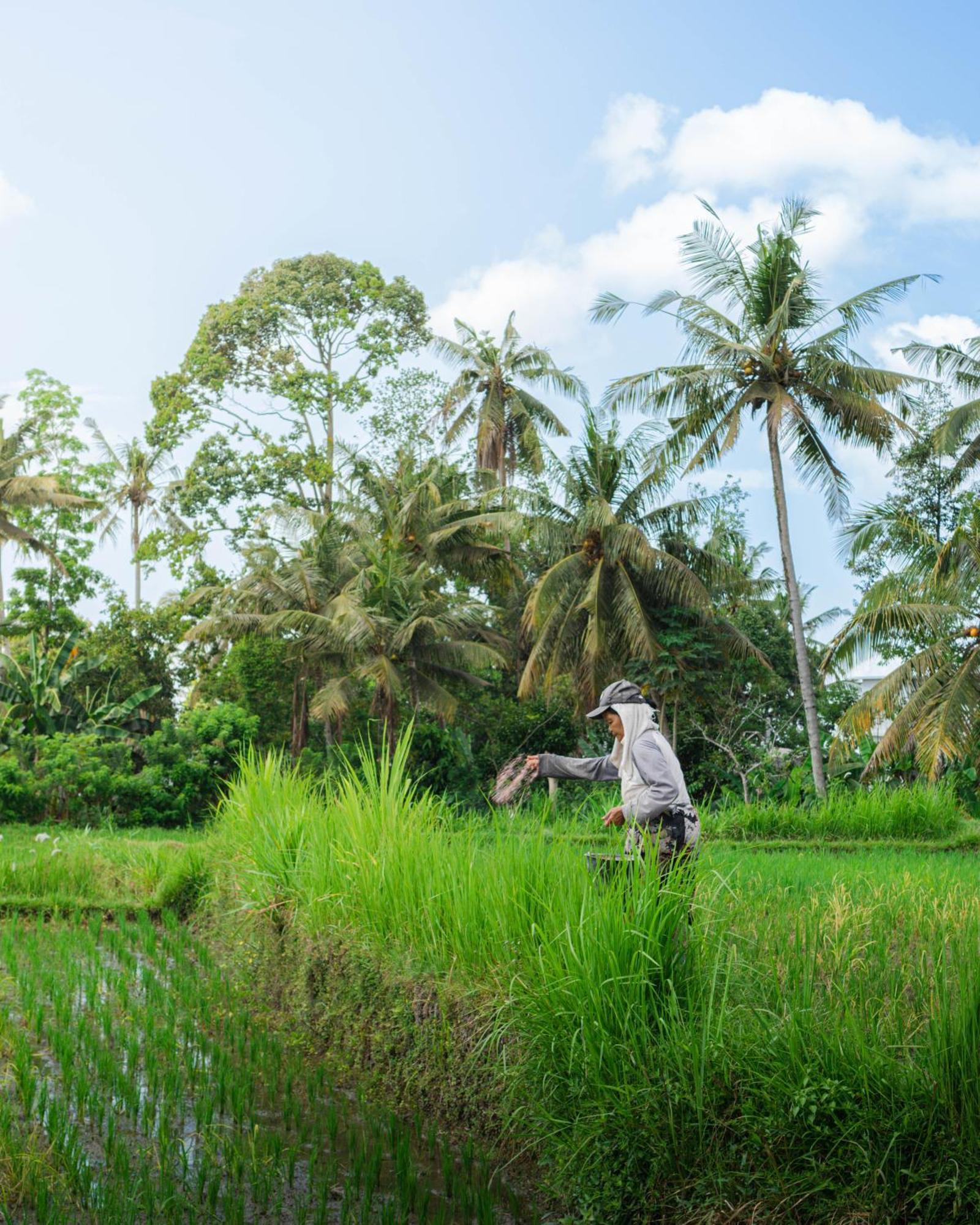 Tannari Villa Ubud 외부 사진